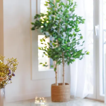 Bravissimo Pedret, Barri Vell Apartamento Gerona