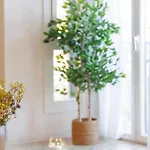 Bravissimo Pedret, Barri Vell Apartment Girona